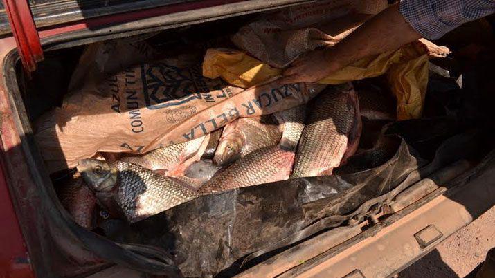 Se realizaron controles de pesca y de caza furtiva