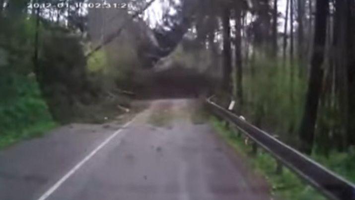 Video- ese aterrador momento cuando la ruta se derrumba