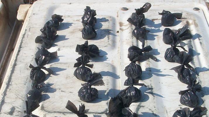 Fue detenido por el robo de un celular y le encontraron marihuana