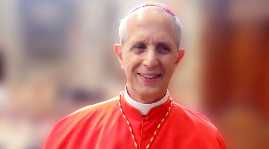 Mario Poli no quiere maacutes a los Boy Scouts en la Iglesia