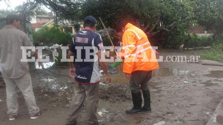 Retiraron rboles caídos