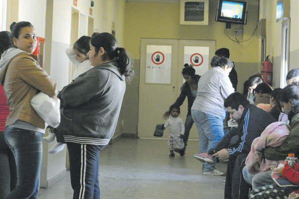 Perro Pitbull atacoacute a una nintildea de dos antildeos que buscaba su gatito