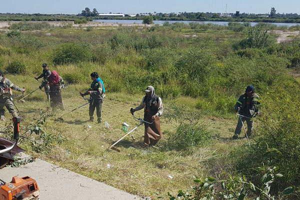 Realizan el desmalezamiento y limpieza en la Costanera