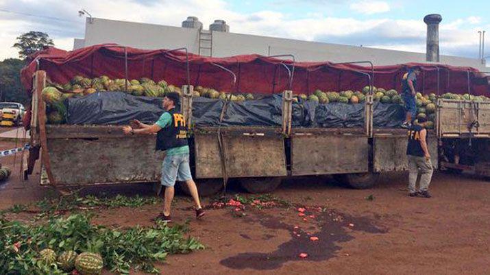 Misiones- secuestran toneladas de marihuana camufladas en sandías