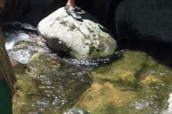 Hallan a la Bestia el riacuteo que brama bajo Los Gigantes