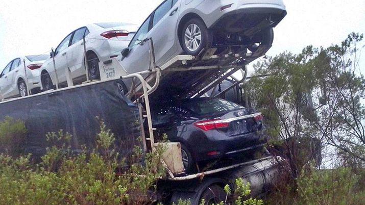 Un camioacuten que transportaba autos OKM embistioacute a ocho caprinos