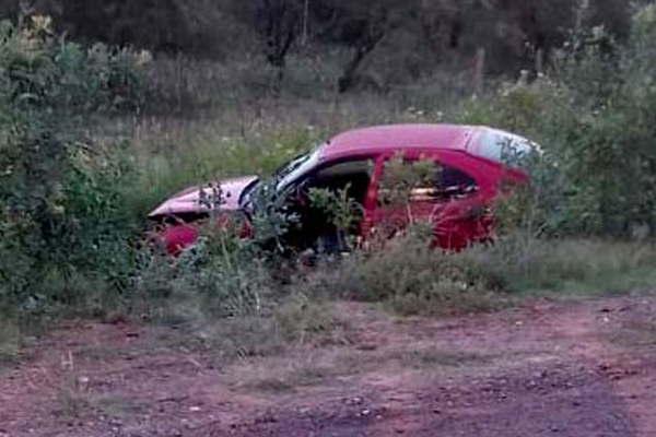 Un animal porcino suelto en la ruta casi provoca una tragedia