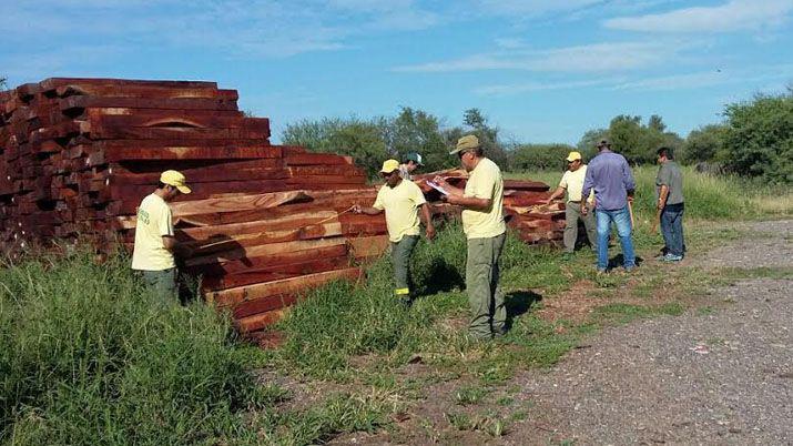 Secuestran carga ilegal de postes de quebracho