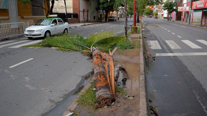 La tormenta provocoacute destrozos y unas 15 familias quedaron sin techo