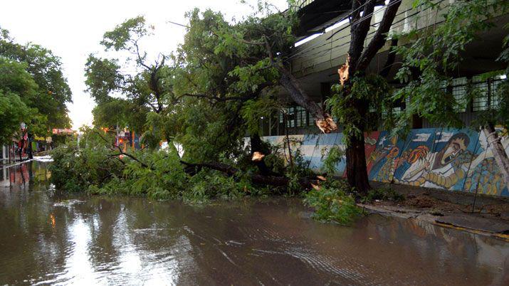 La tormenta provocoacute destrozos y unas 15 familias quedaron sin techo
