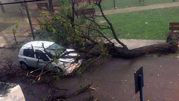 La tormenta provocoacute destrozos y unas 15 familias quedaron sin techo