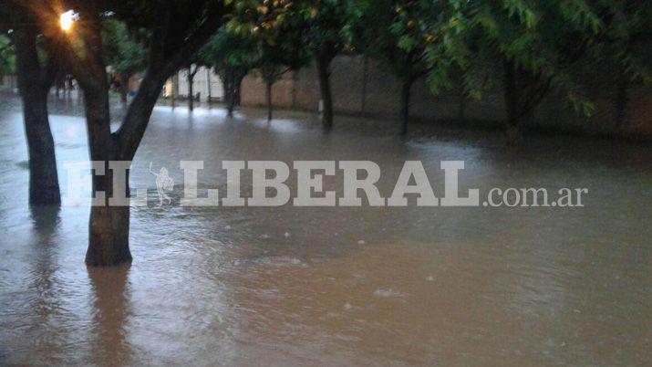 El agua ingresó a las viviendas