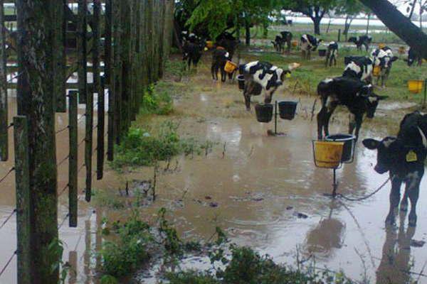 Destinaraacuten 400 millones para los tambos inundados