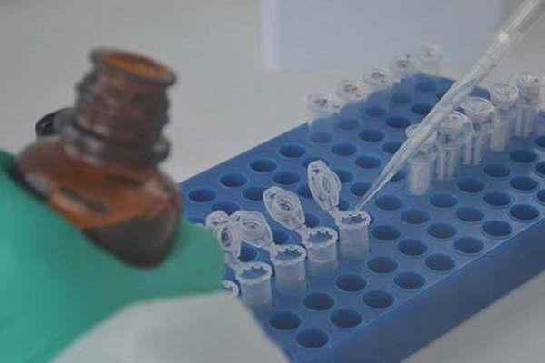 Resaltan la importancia del ADN como un elemento significativo en la investigacioacuten penal