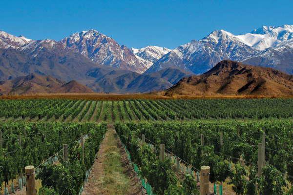 Chubut proyecta  el desarrollo de la ruta del vino
