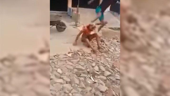 VIDEO  Un grupo de joacutevenes asesinoacute a patadas a una mujer trans