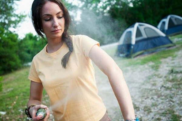 La cartera sanitaria reiteroacute la importancia de eliminar los criaderos de mosquitos 