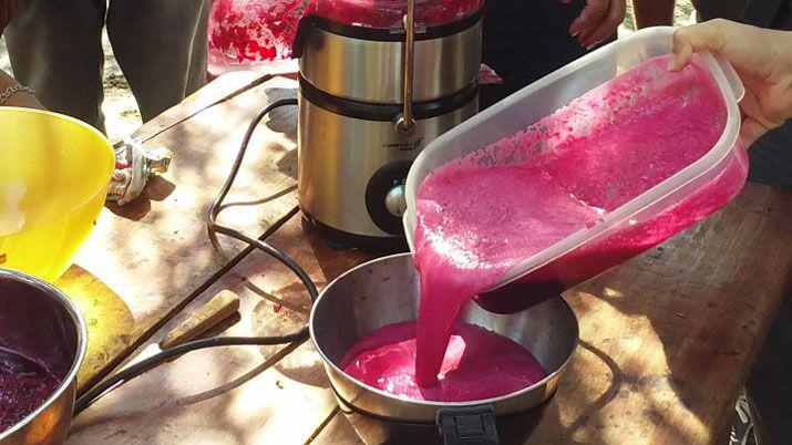 Capacitan en el aprovechamiento de la tuna para elaborar dulces utilizando tecnologiacutea