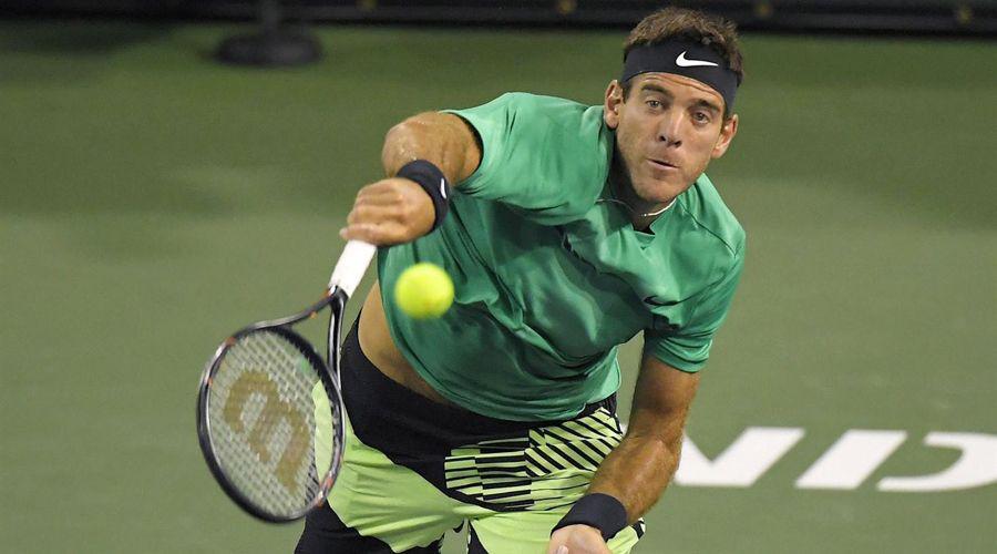 Del Potro cayoacute ante Djokovic en Indian Wells