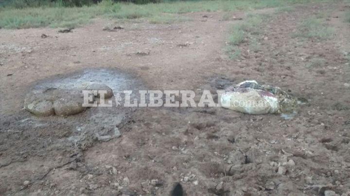 Entraron a una finca y se llevaron tres animales vacunos
