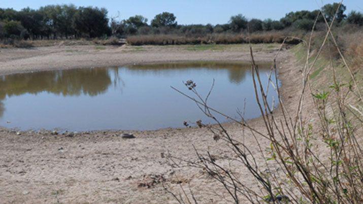 Chicho y Rodi habriacutean planificado el secuestro y captacioacuten de Marito Salto