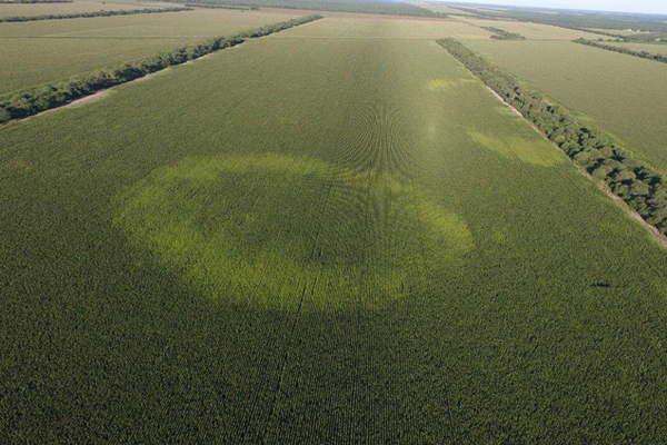 Investigadores y estudiosos de los ovnis opinan sobre el ciacuterculo que aparecioacute en Quimiliacute