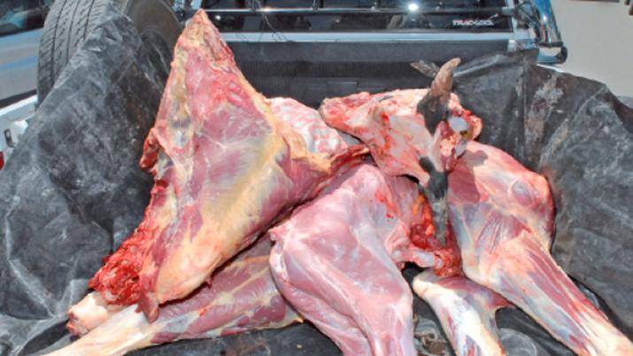 Robaron maacutes de 300 kilos de carne y fueron atrapados