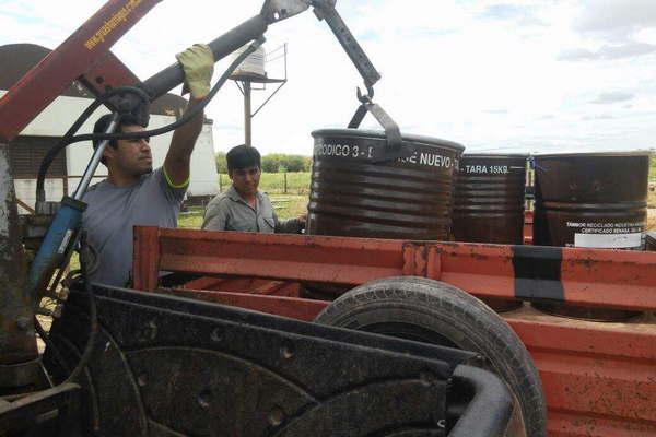 Productores apiacutecolas vendieron toda la produccioacuten anual de miel
