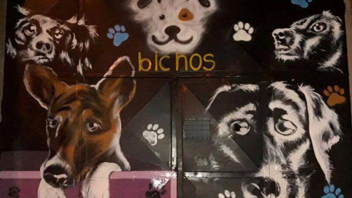 Remodelan el refugio de animales y necesitan colaboración