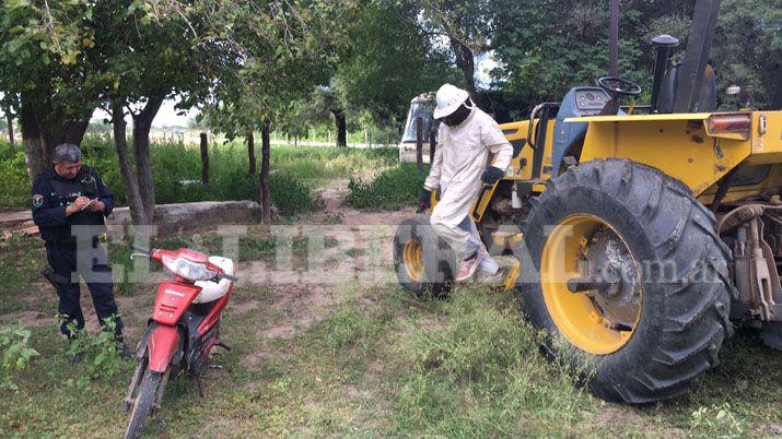 Loreto- enjambre de abejas atacó a peones rurales