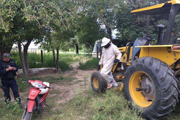 Furisoso ataque de abejas a dos peones rurales- uno  de ellos recibioacute maacutes de 250 aguijonazos pero se salvoacute