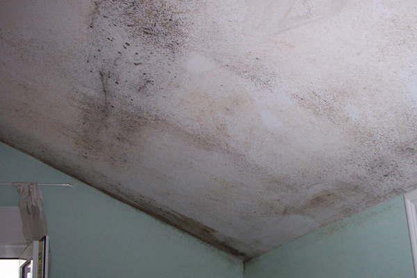 Brindaron asistencia a familias afectadas por las lluvias en la ciudad