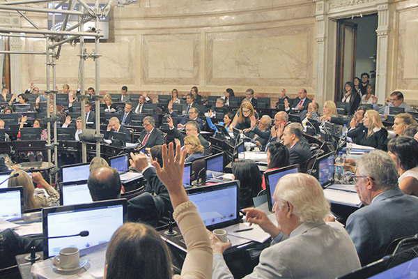 Por unanimidad el Senado aproboacute la ley que habilita el uso medicinal del cannabis en el paiacutes