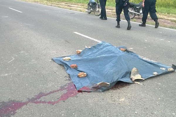 Automovilista chocoacute matoacute a un adolescente y huyoacute en la ruta 11