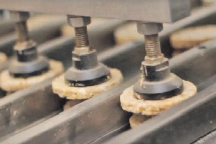 De fabricar en el living de su casa a convertirse en la tercera marca maacutes importante del paiacutes en su rubro