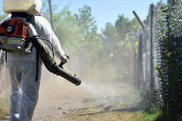 Piden tomar recaudos por zika dengue y chikungunya a viajeros