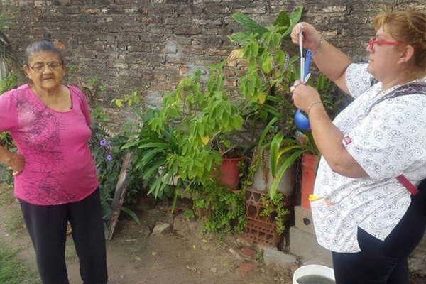 Salud trabaja en la prevencioacuten del dengue en los barrios