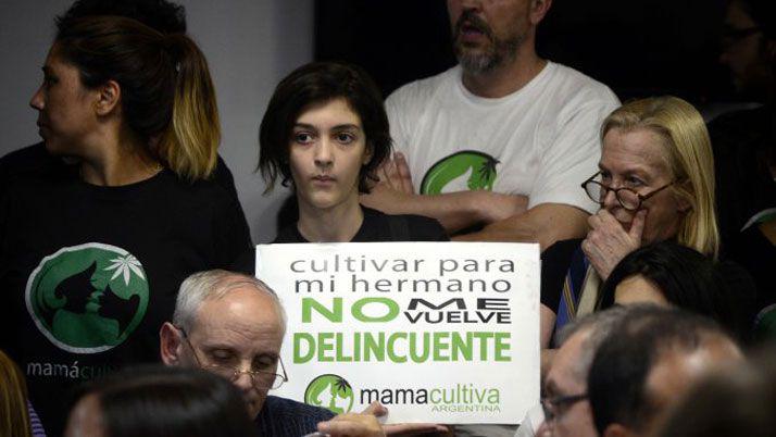 El Gobierno promulgoacute la ley de cannabis medicinal