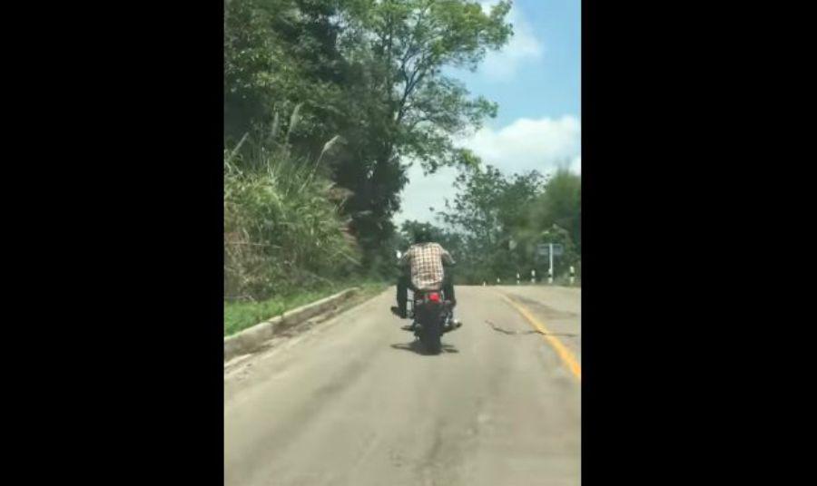 El sorprendente ataque de una serpiente a un motociclista