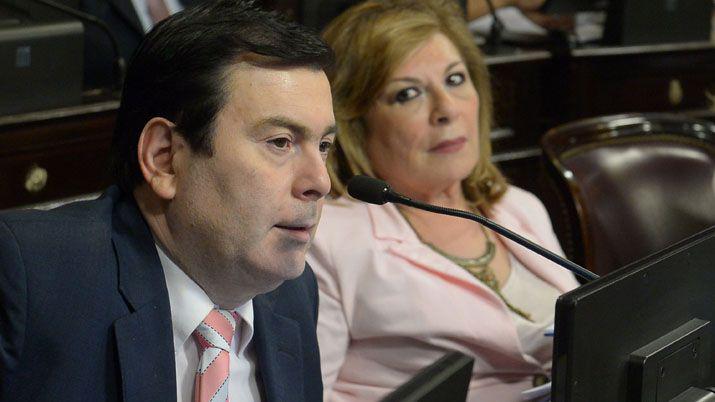 Zamora presentó proyecto para prevenir femicidios