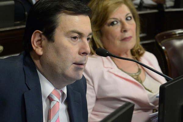 Zamora presentoacute un proyecto para que el Estado actuacutee de oficio en casos de violencia de geacutenero