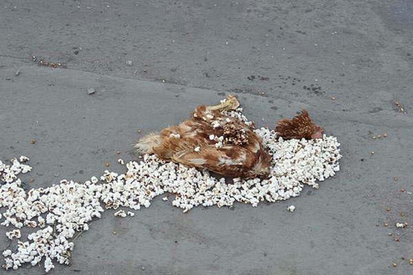 Encuentran ofrendas umbandas frente a la Escuela de Periodismo