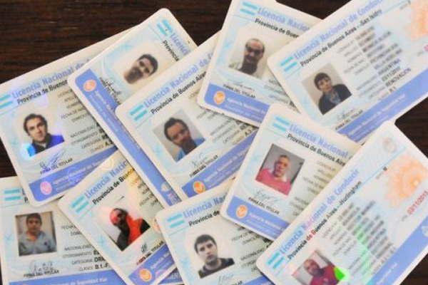 La Direccioacuten de Traacutensito extenderaacute la vigencia de las licencias de conducir 