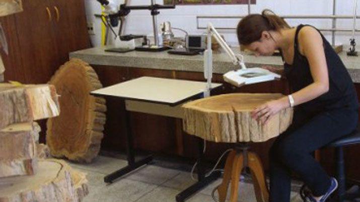 La Facultad de Forestales de la Unse celebra un nuevo aniversario