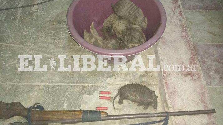 Secuestran una escopeta y al menos 4 armadillos