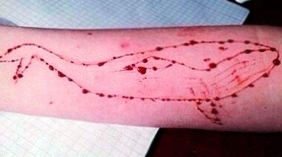 Ballena azul- advierten sobre el desafiacuteo suicida que circula en Facebook