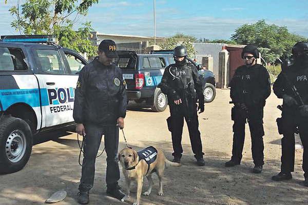 El olfato de la perrita Mora