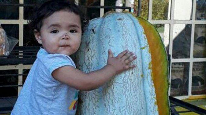 Un tucumano cosechoacute un zapallo maacutes grande que la nieta