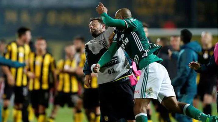 Video Jugadores a las pintildeas en la Copa Libertadores