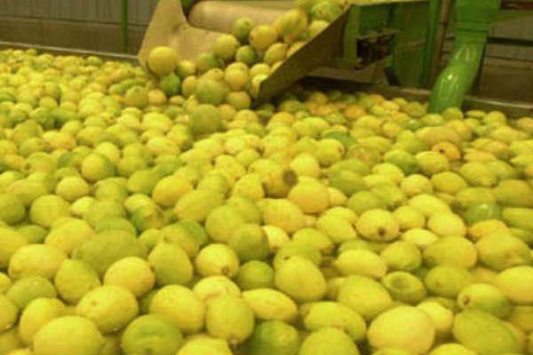 Cabrera dijo que EEUU anunciaraacute la reapertura del mercado de limones
